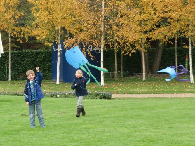 Drachen im Herbstwind